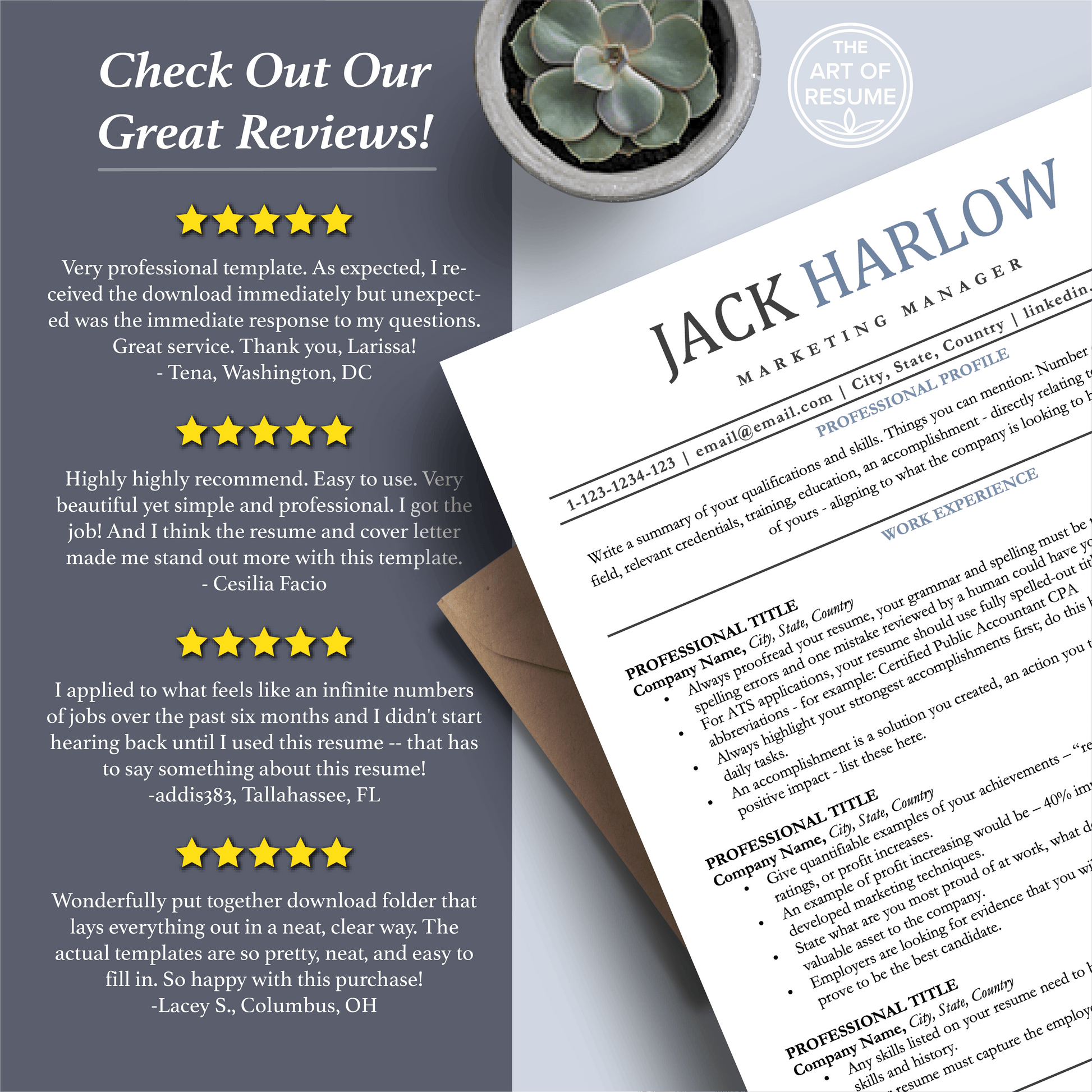 Professional ATS Resume CV Template | Applicant Tracking System Friendly | One-Column CV - The Art of Resume