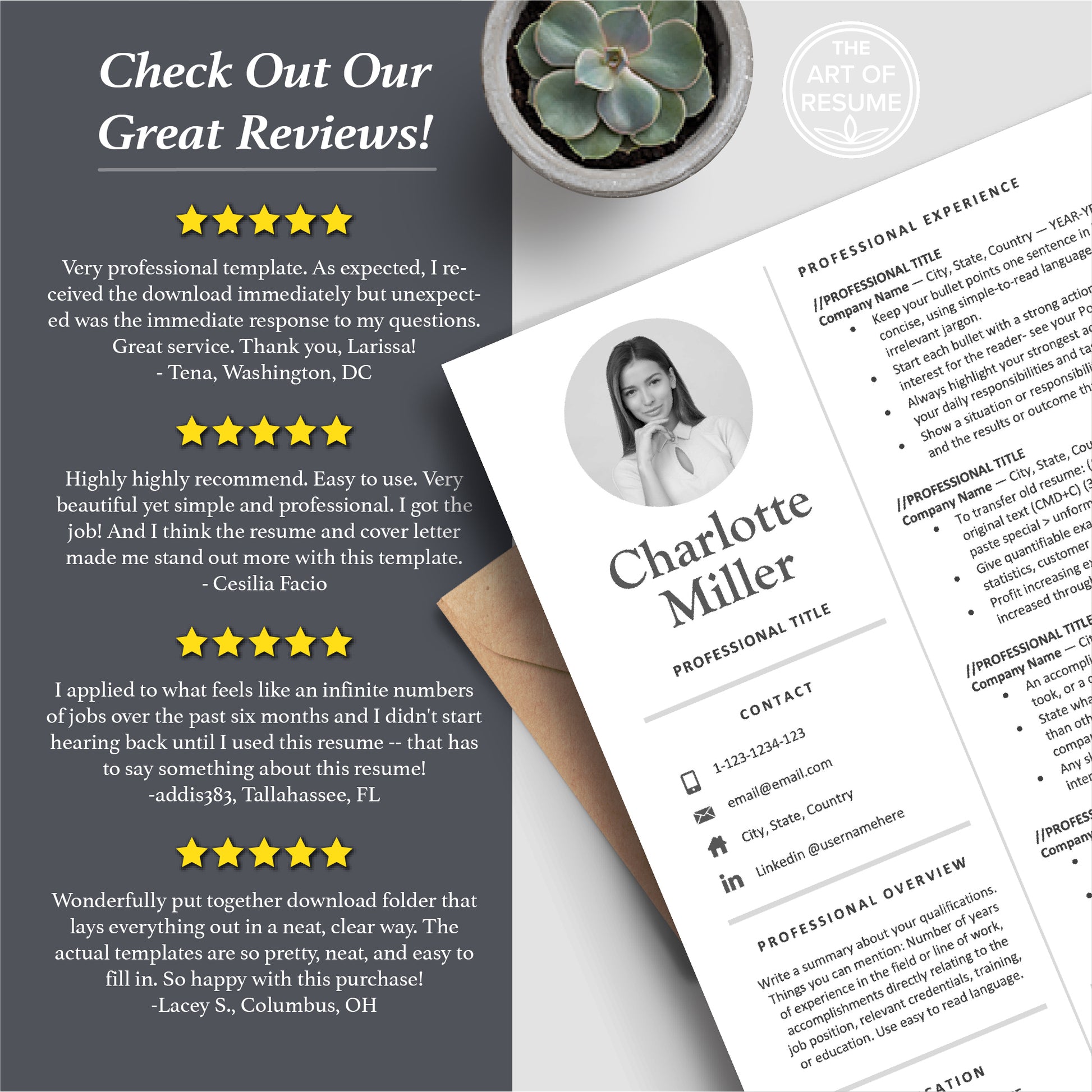 The Art of Resume Templates | Executive C Suite Level Resume CV Templates Online 5-Star Reviews