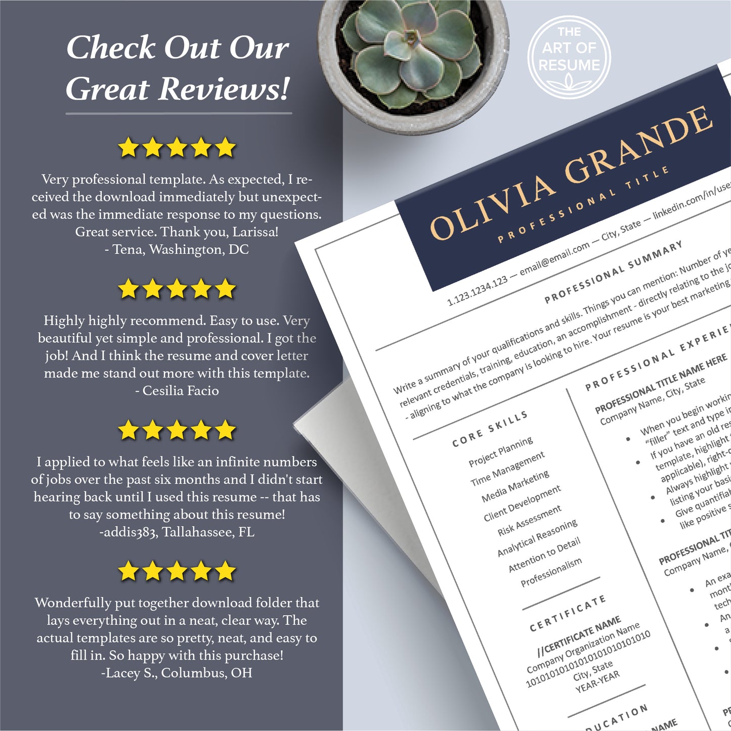 The Art of Resume Templates | Professional Executive Resume CV Templates Online 5-Star Reviews