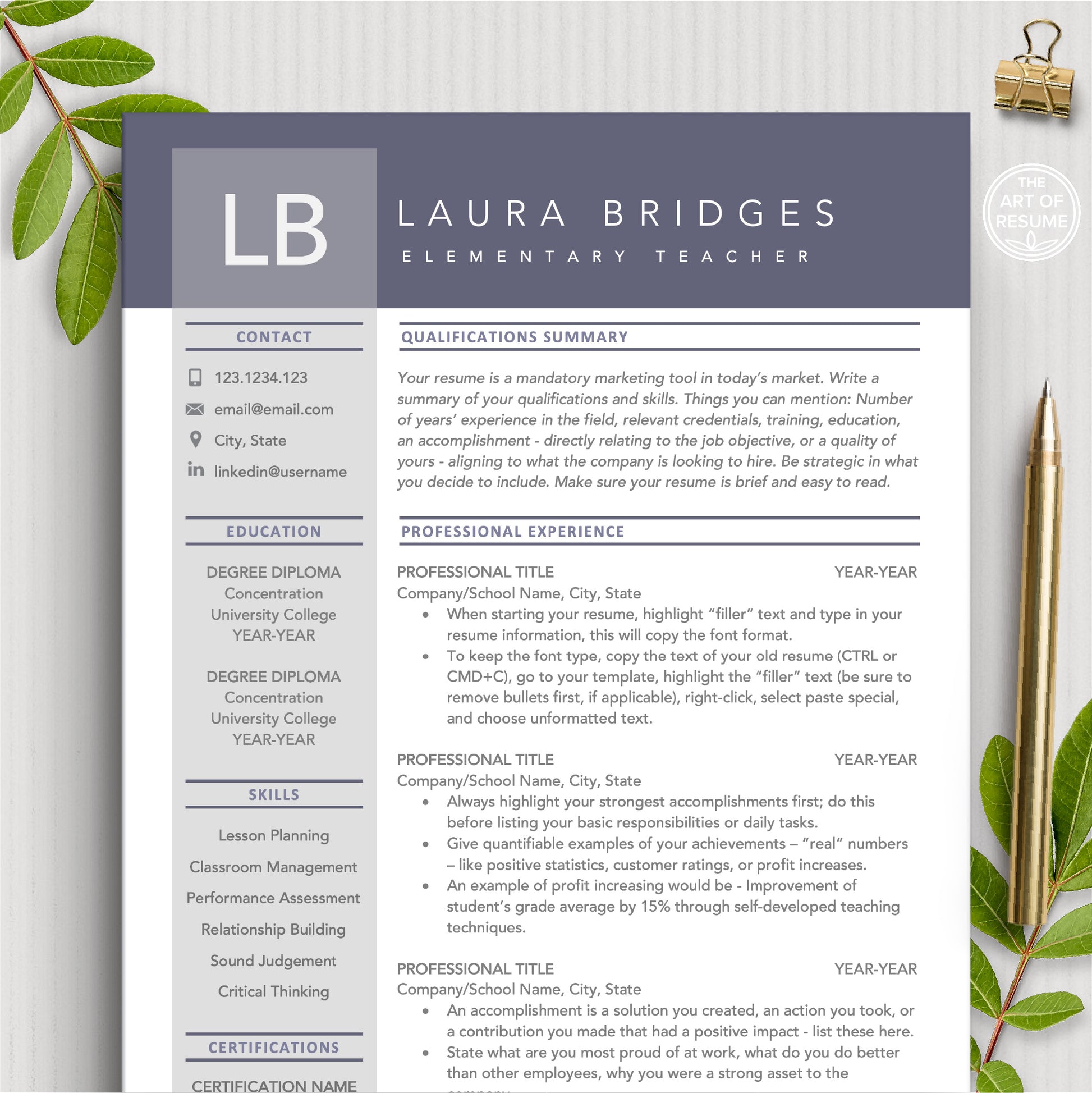 Professional Resume | Teacher Resume Templates | Free Resume Writing Guide - The Art of Resume