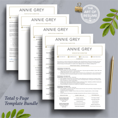 Executive Resume Design | Curriculum Vitae for Career (Free Cover Letter)(Multi-Pages) - The Art of Resume