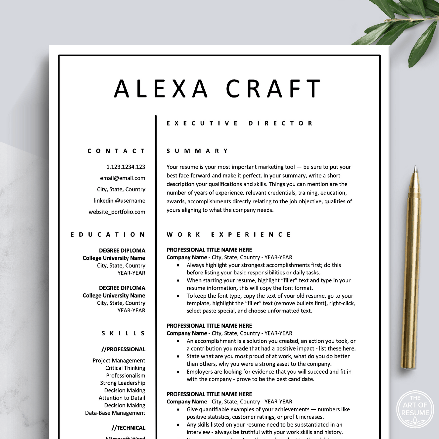 Professional Resume Design Template Bundle, Instant Download Bundle for Apple Pages and Microsoft Word, Mac and PC