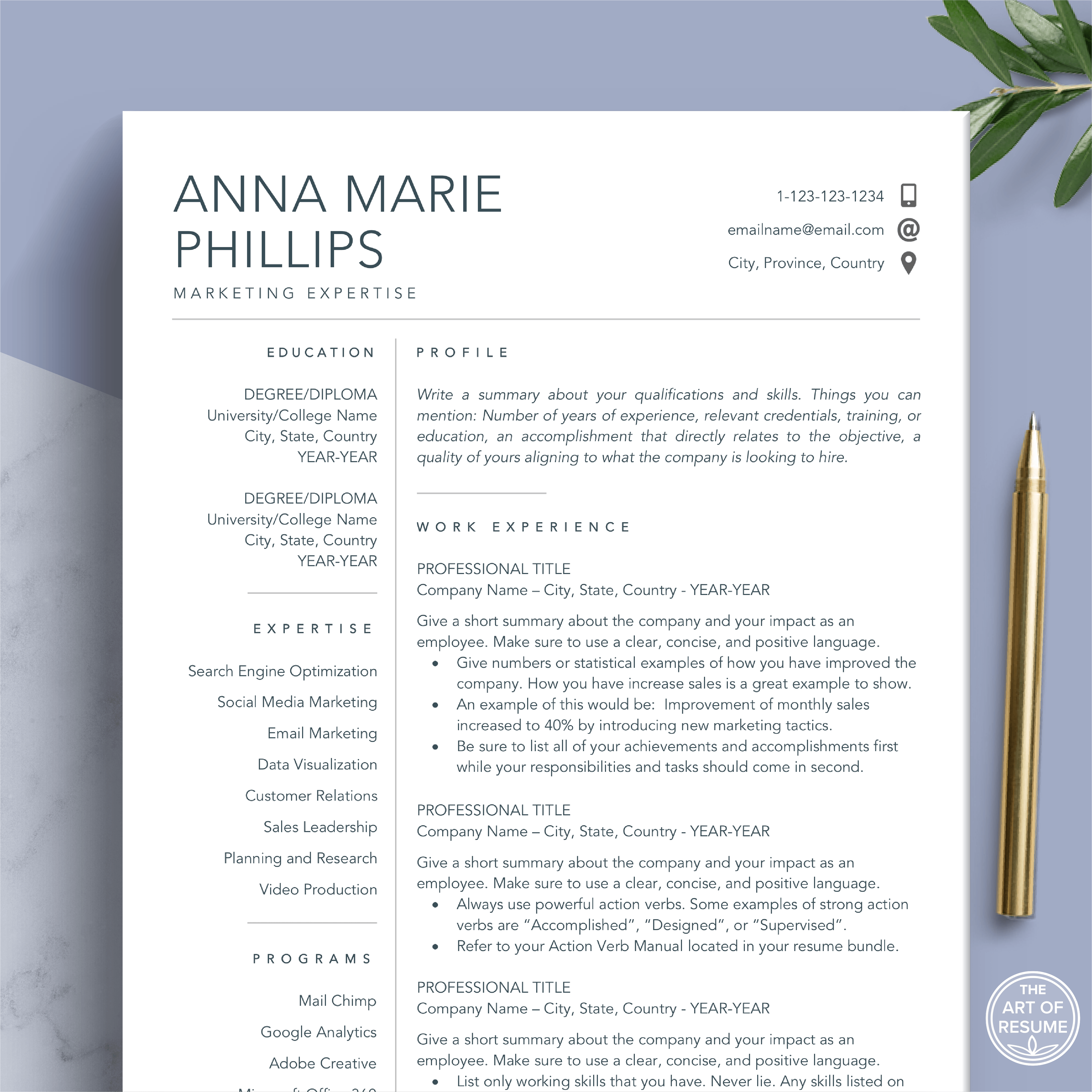 Professional Resumes | The Art of Resume | Free Resume Code: 2FOR1