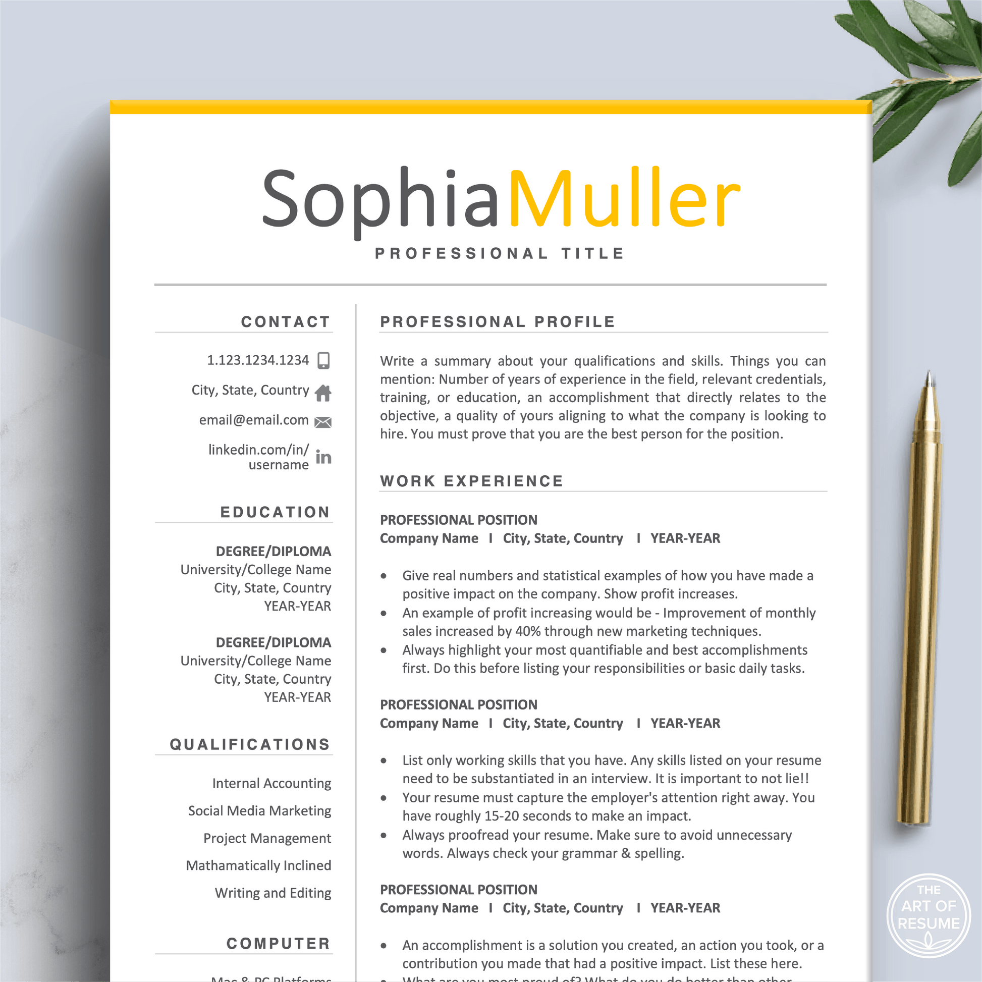 Professional Resume CV Template | Executive Resume Format | Resume Writing Guide - The Art of Resume