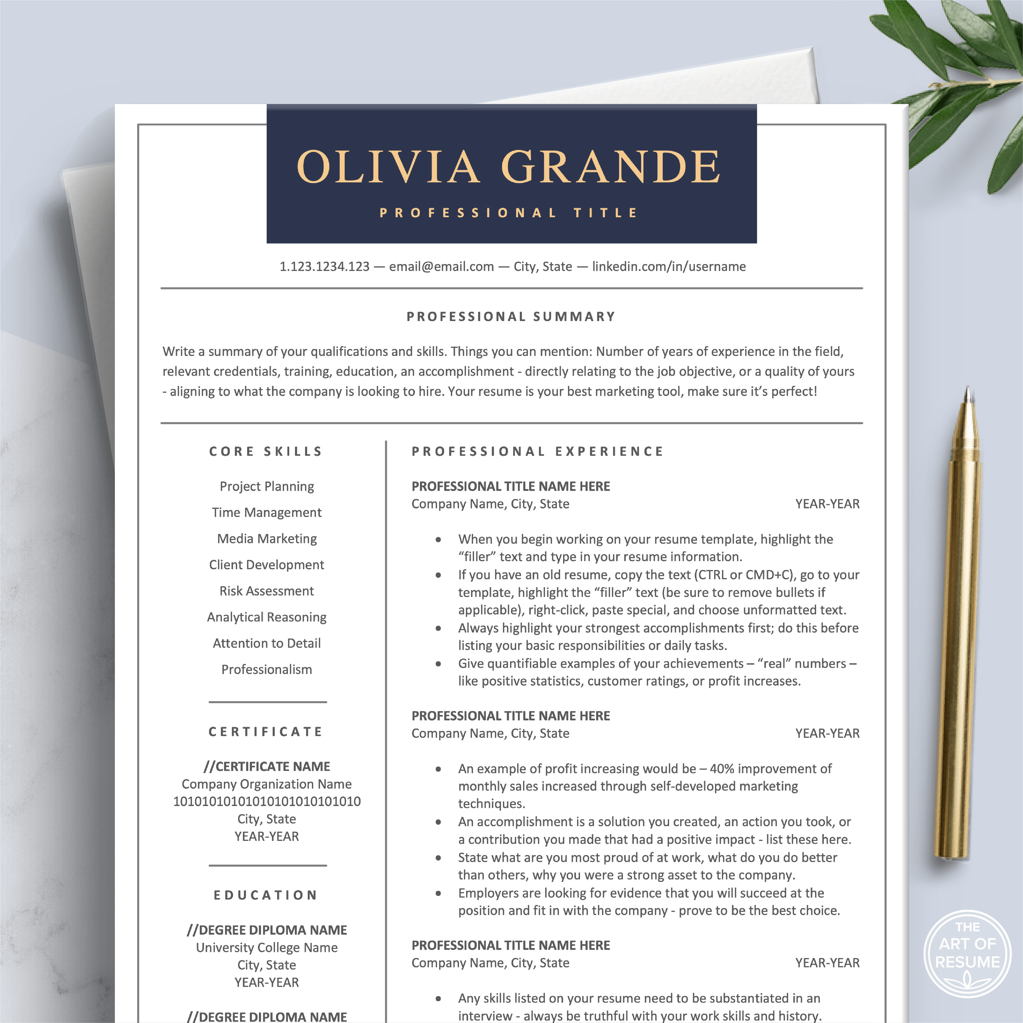 Professional Resume CV Template – Page 2 – The Art of Resume