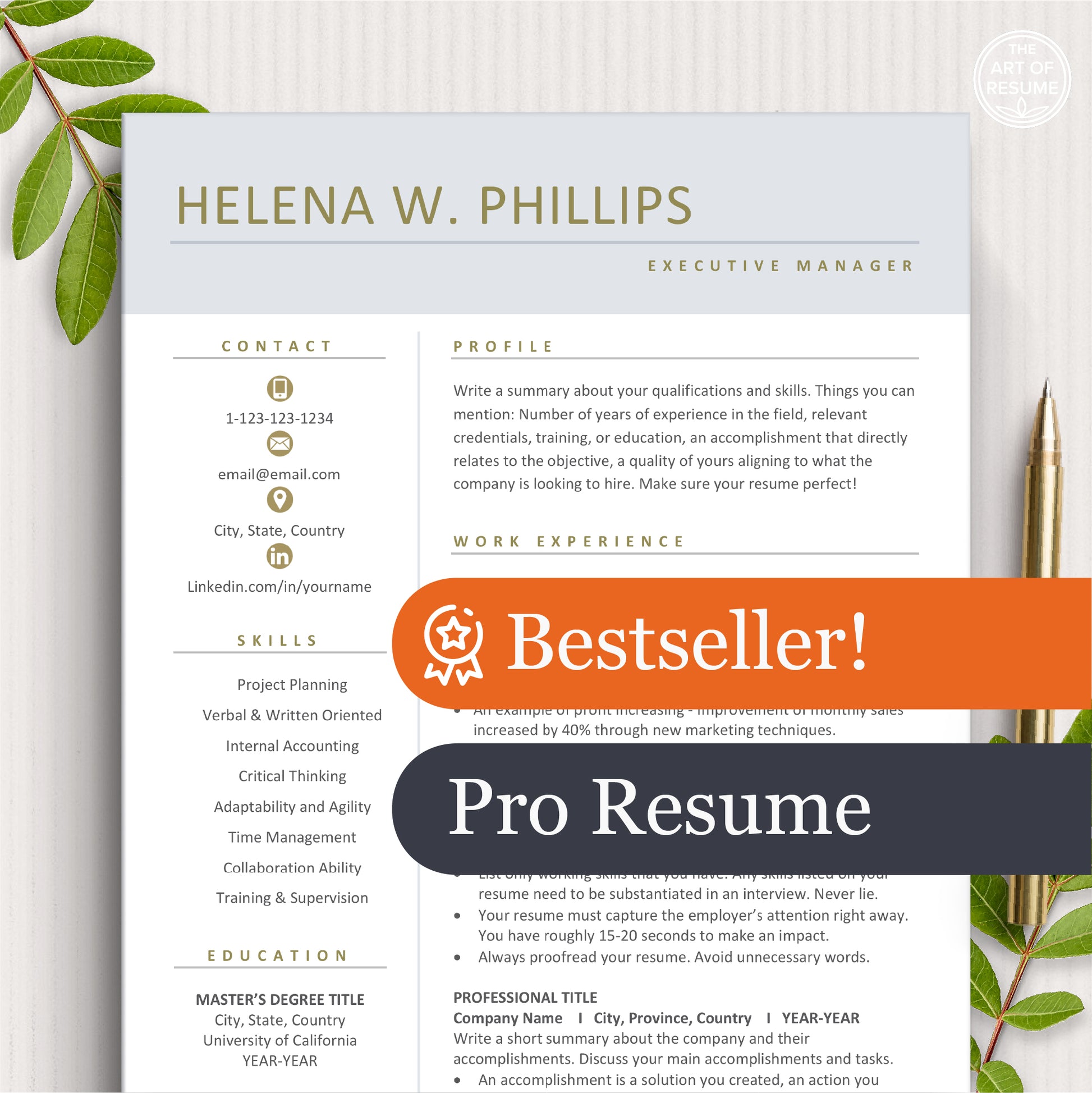 The Art of Resume Template Design Pro Resume Bestseller Resume Free Download 2026