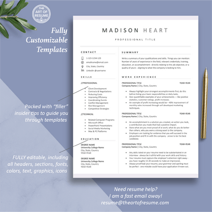 The Art of Resume | One-Page Resume CV Template Format