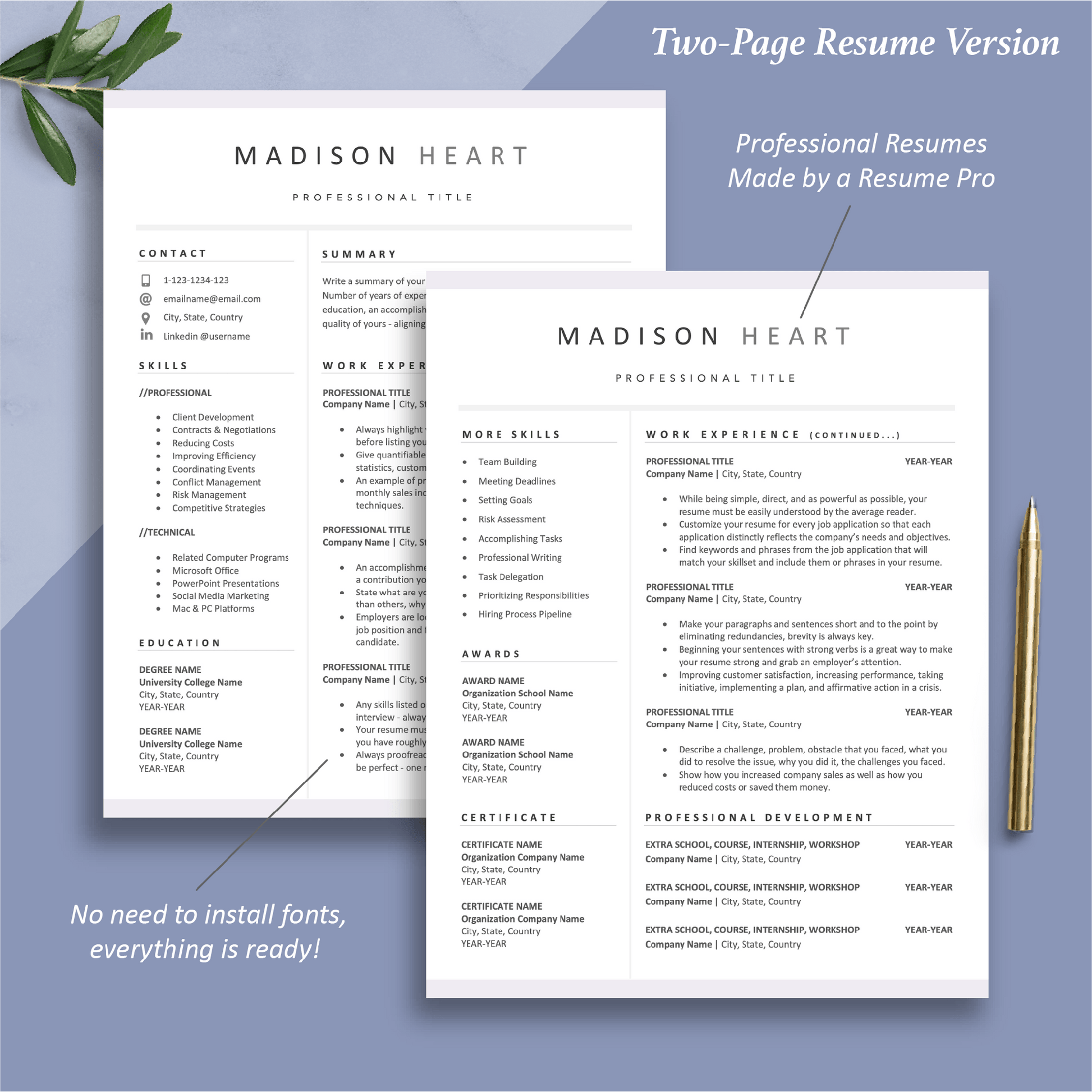 The Art of Resume | 2-Page Executive Resume Template Format