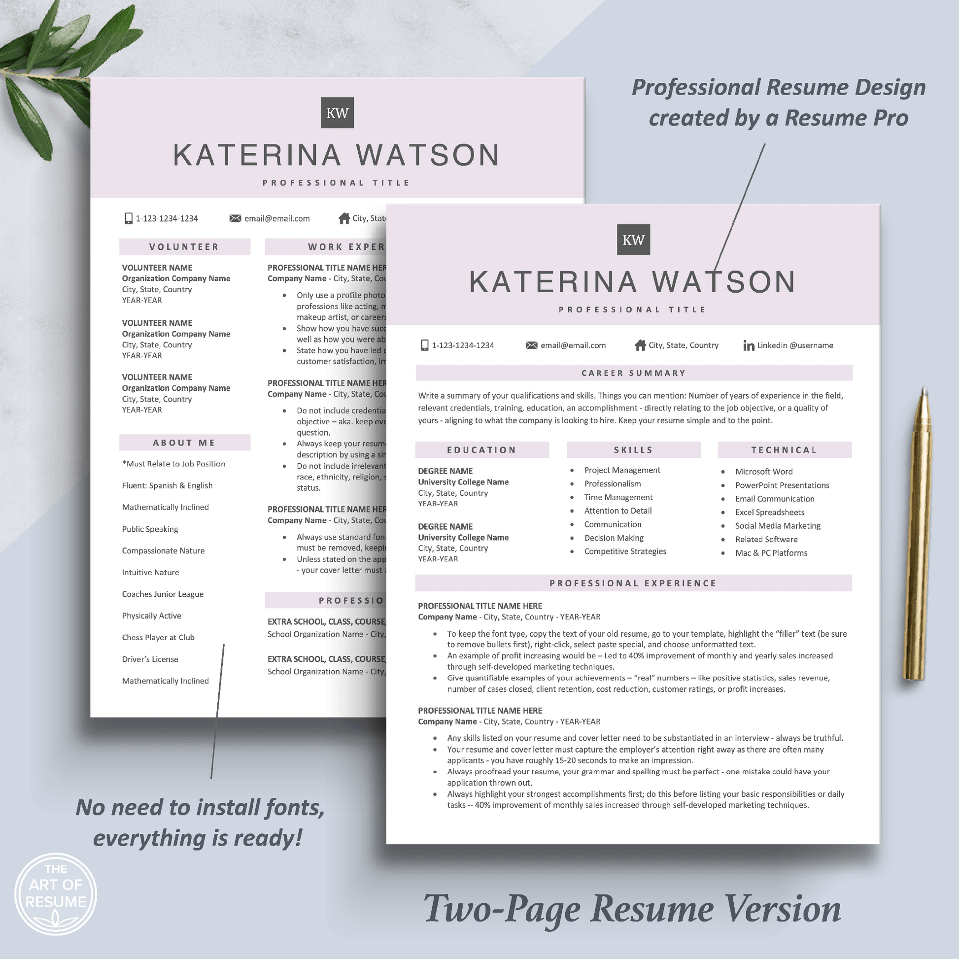 The Art of Resume Templates | Two Page  Professional  Rose Pink  Executive Resume CV Template | Curriculum Vitae
