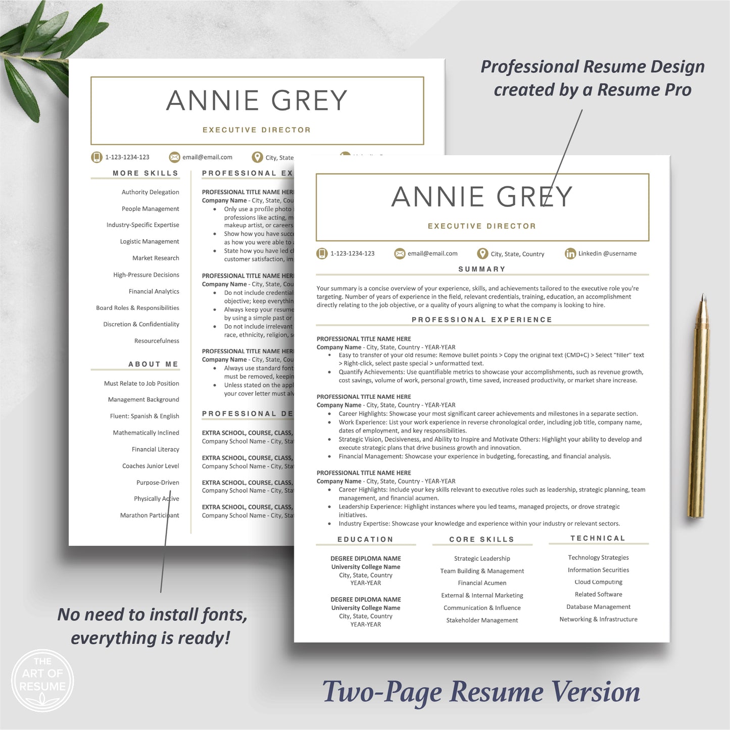 The Art of Resume Templates | Two Page Executive C Suite Level Resume CV Template | Curriculum Vitae