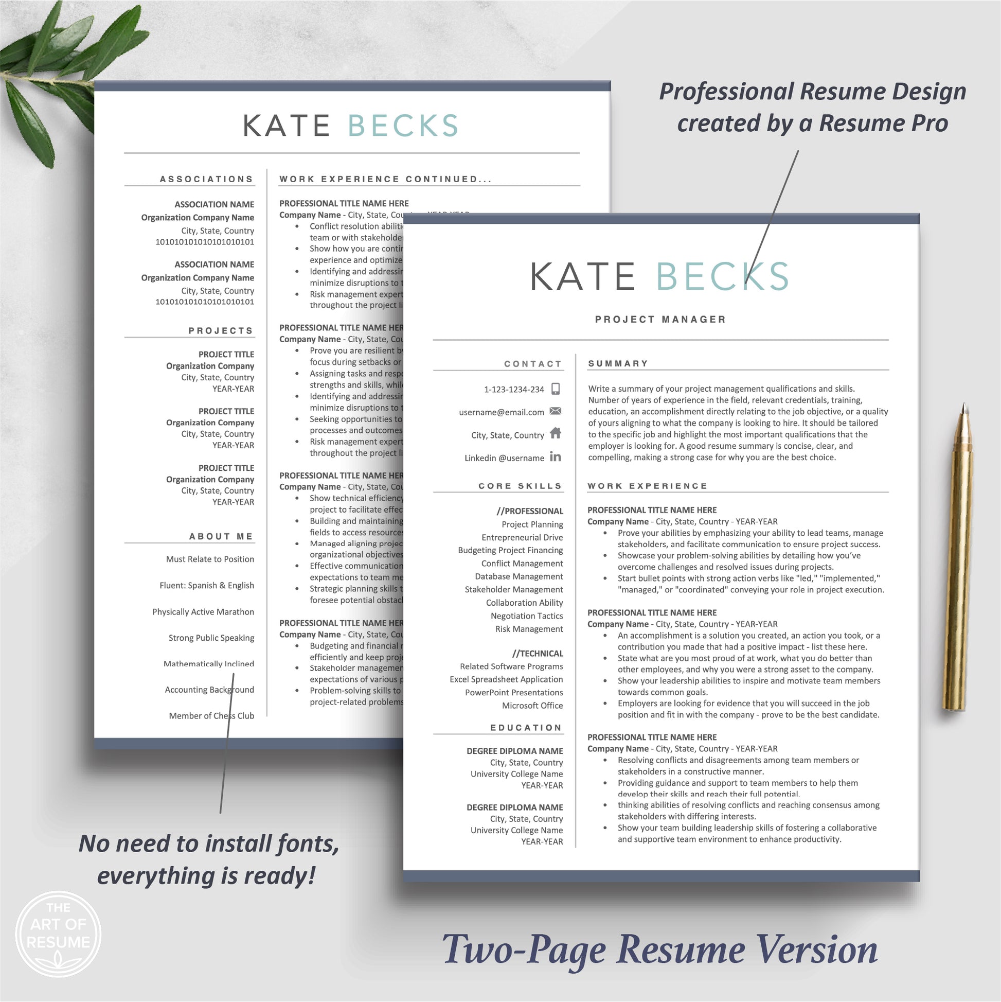 The Art of Resume Templates | Two Page Professional Doctor Resume CV Template | Curriculum Vitae