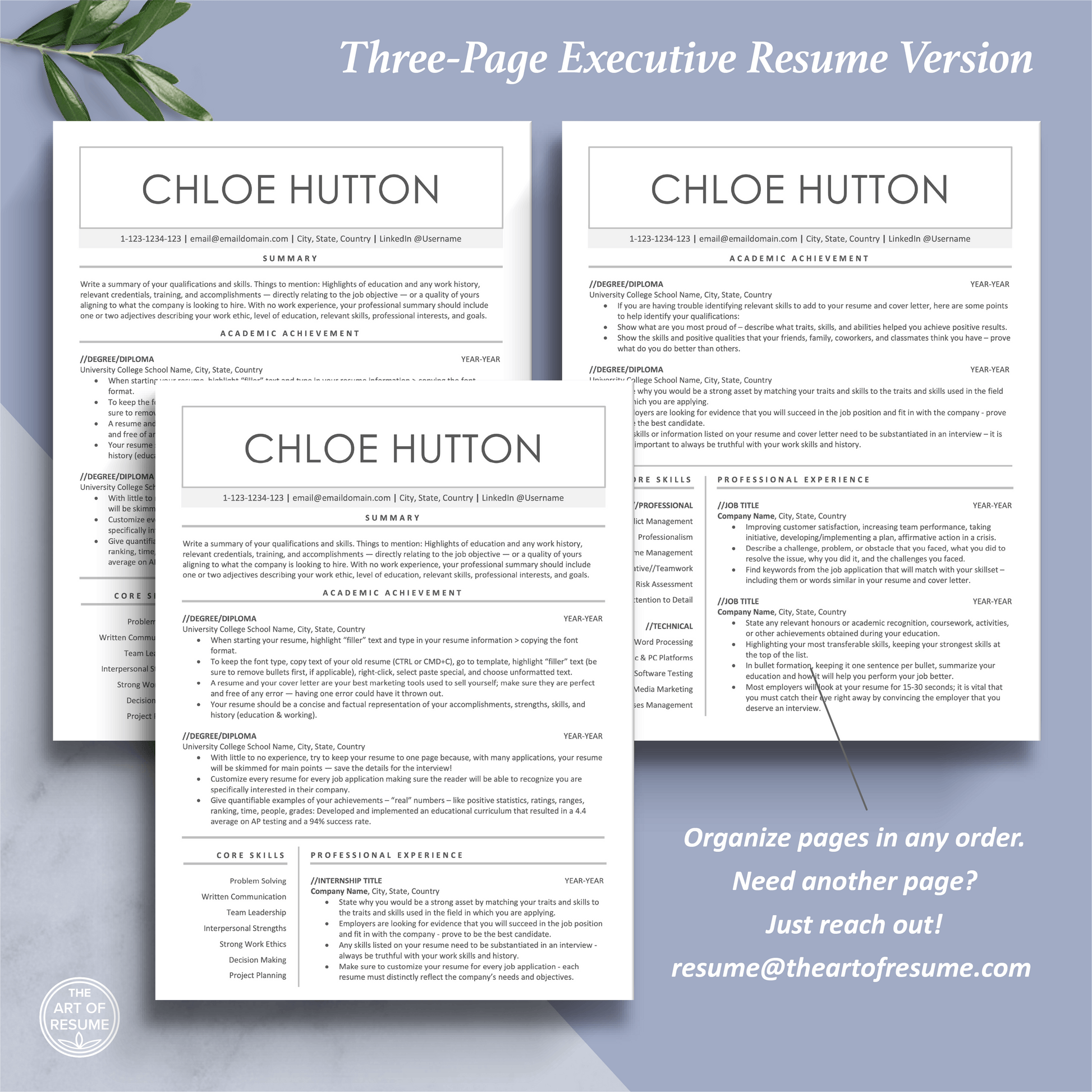 The Art of Resume Template | Three-Page Executive C-Suite Resume CV Format