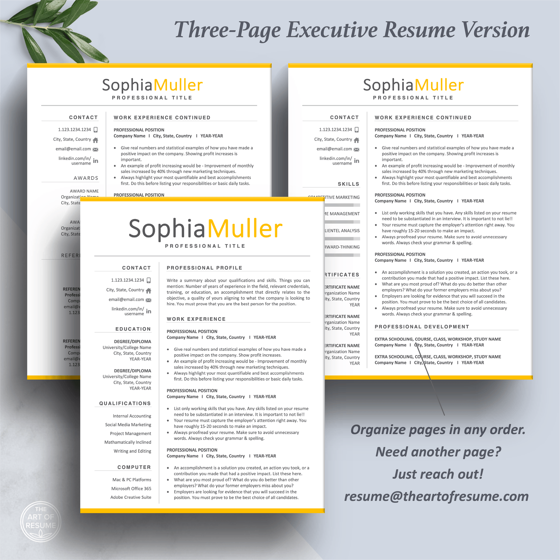 Professional Resume CV Template | Executive Resume Format | Resume Writing Guide - The Art of Resume