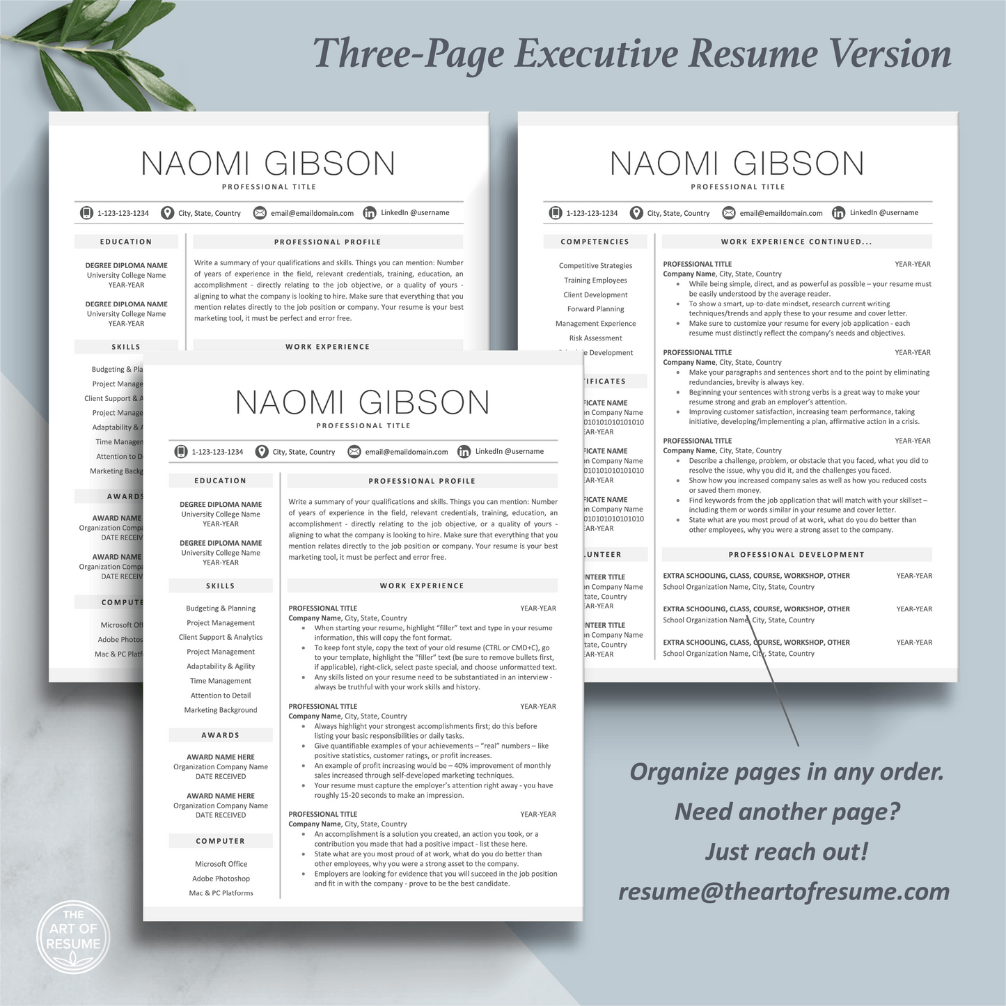 The Art of Resume Templates | Three-Page Professional Minimalist Simple Executive CEO C-Suite Level  Resume CV Template Format | Curriculum Vitae