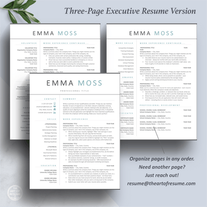 Professional Resume Designs | Matching Cover Letter | Free Resume Writing Guide