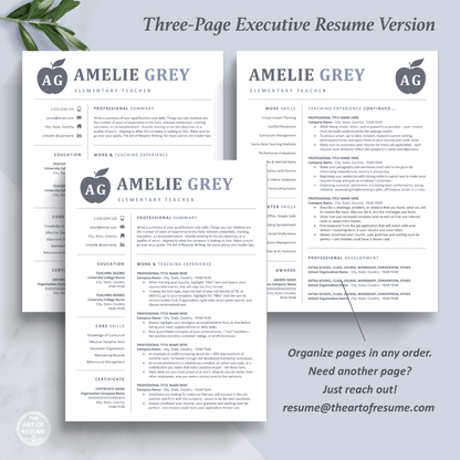 The Art of Resume Templates | Three-Page Teacher Blue Grey Executive CEO C-Suite Level  Resume CV Template Format | Curriculum Vitae