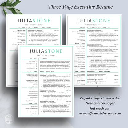 Professional Resume Templates | Free Resume Designs Included (Simple) - The Art of Resume
