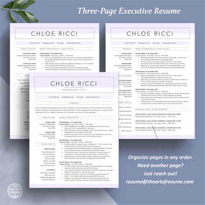 The Art of Resume Templates | Three-Page Professional Simple Pink Blue Executive CEO C-Suite Level  Resume CV Template Format | Curriculum Vitae