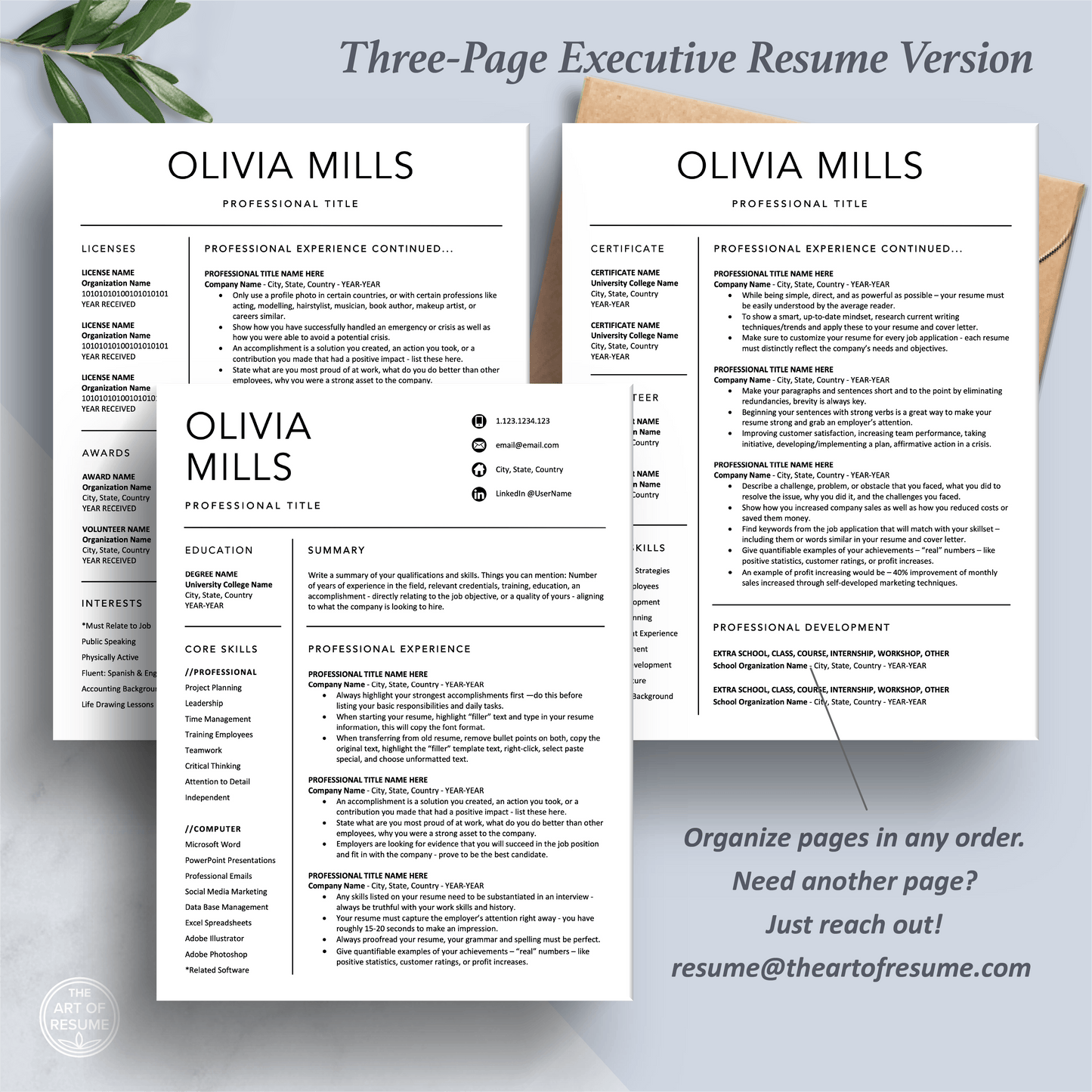 The Art of Resume Templates | Three-Page Professional Simple Executive C-Suite Level  Resume CV Template Format | Curriculum Vitae