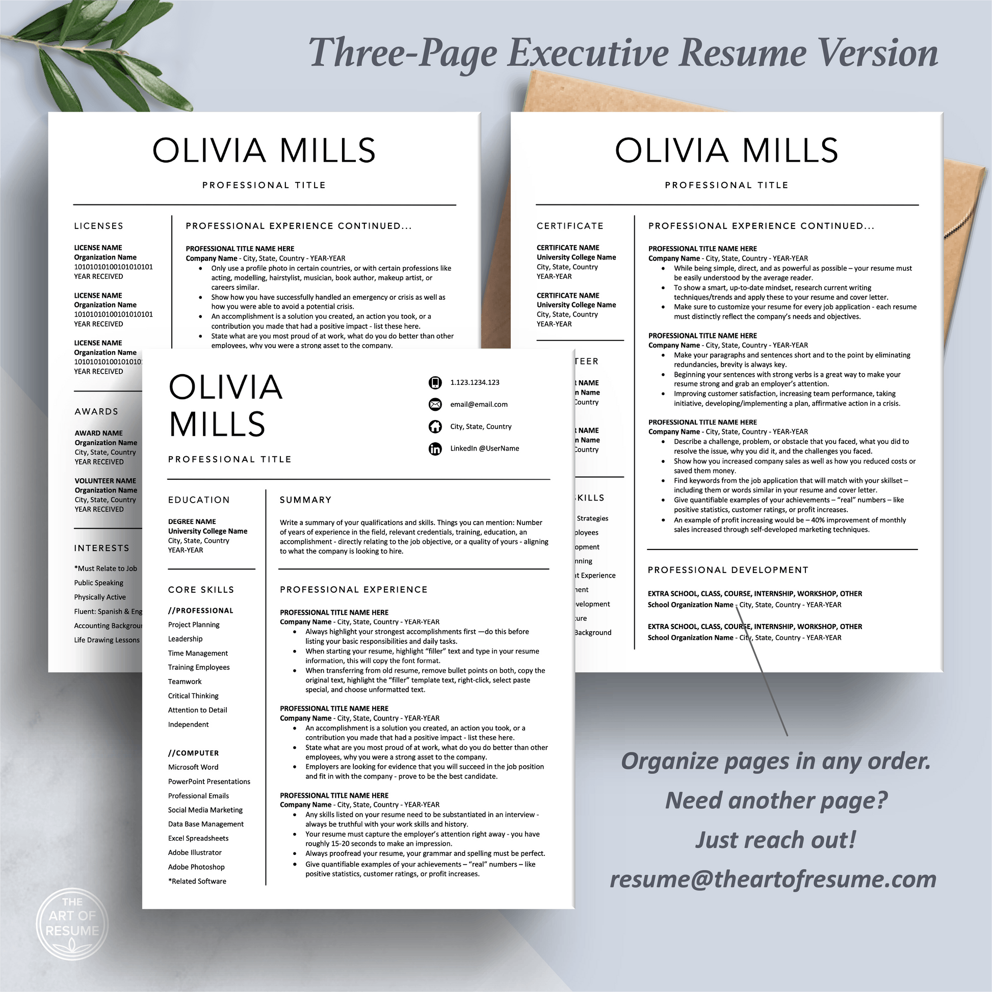 The Art of Resume Templates | Three-Page Professional Simple Executive C-Suite Level  Resume CV Template Format | Curriculum Vitae