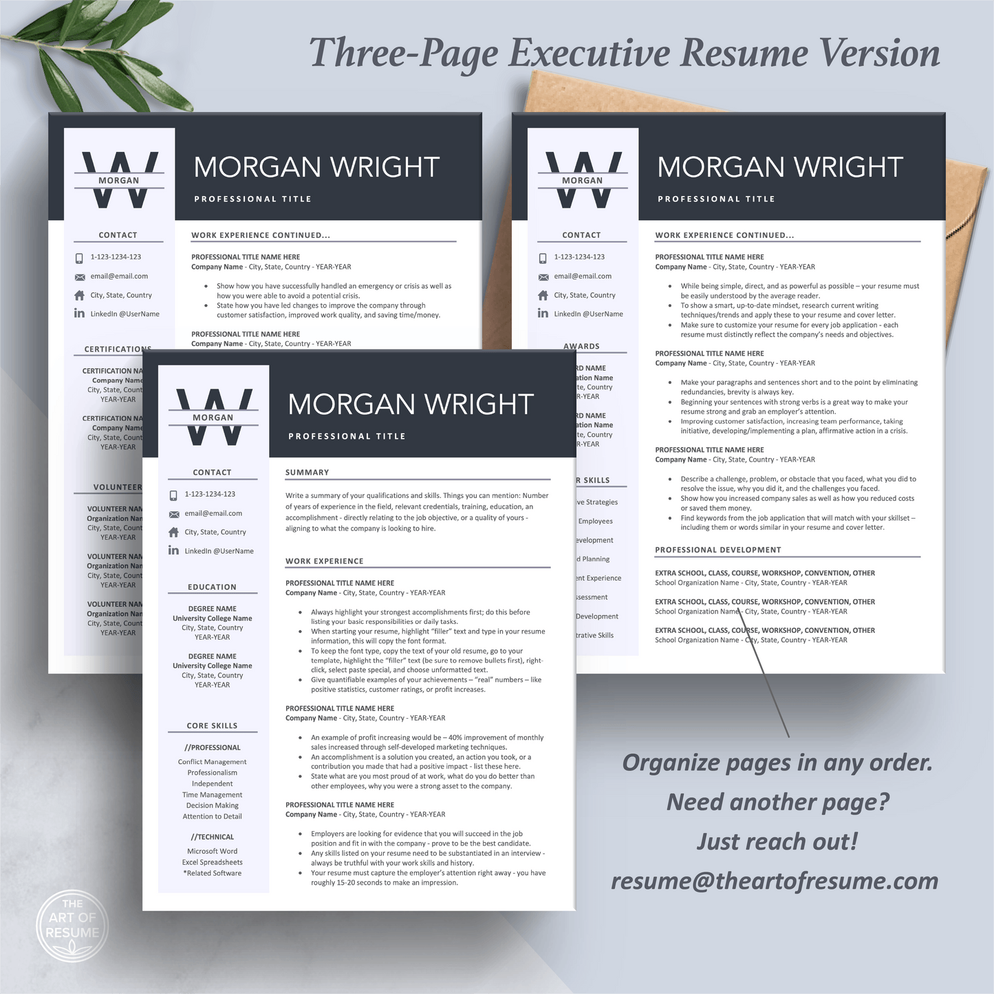 The Art of Resume Templates | Three-Page Professional Simple Executive CEO C-Suite Level  Resume CV Template Format | Curriculum Vitae