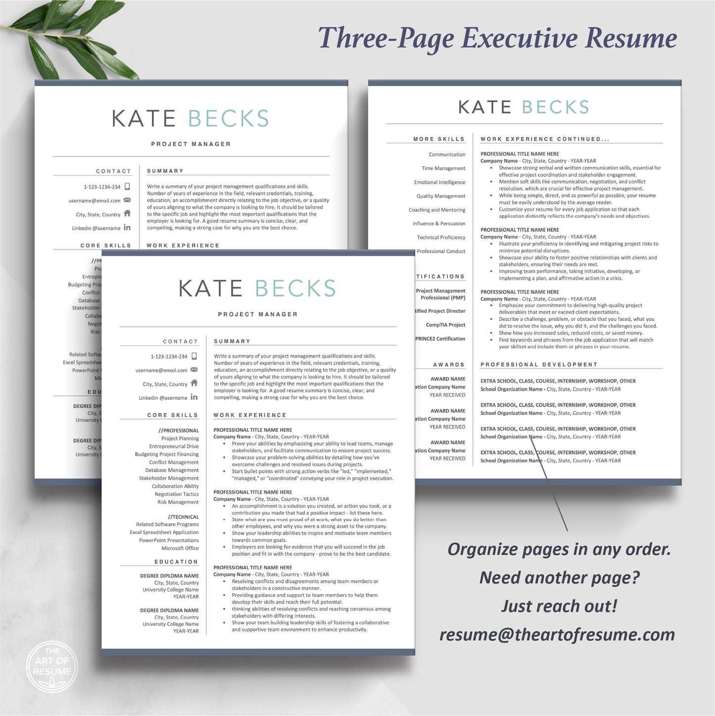 The Art of Resume Templates | Three-Page Executive Resume CV Template Format | Curriculum Vitae