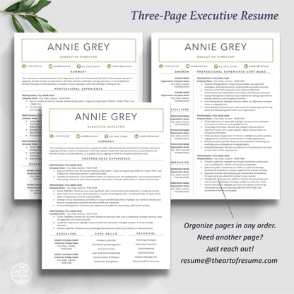 The Art of Resume Templates | Three-Page Executive C Suite Level C-Suite Level  Resume CV Template Format | Curriculum Vitae