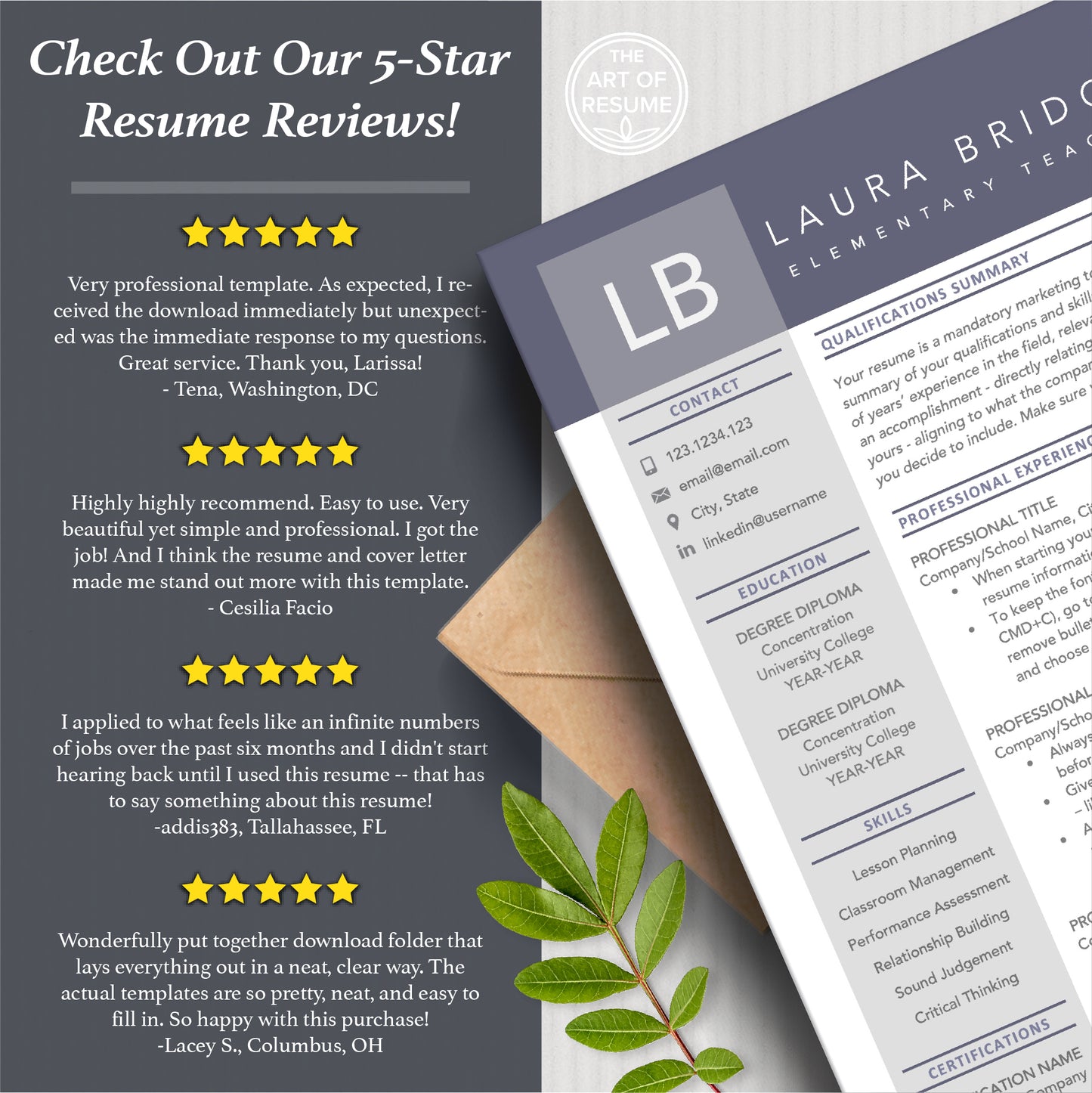 Professional Resume | Teacher Resume Templates | Free Resume Writing Guide - The Art of Resume