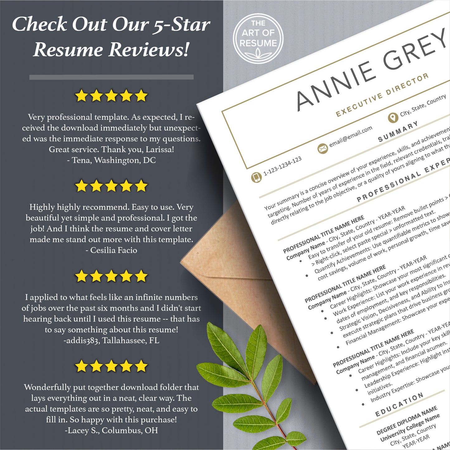 The Art of Resume Templates | white and gold executive Resume CV Templates Online 5-Star Reviews
