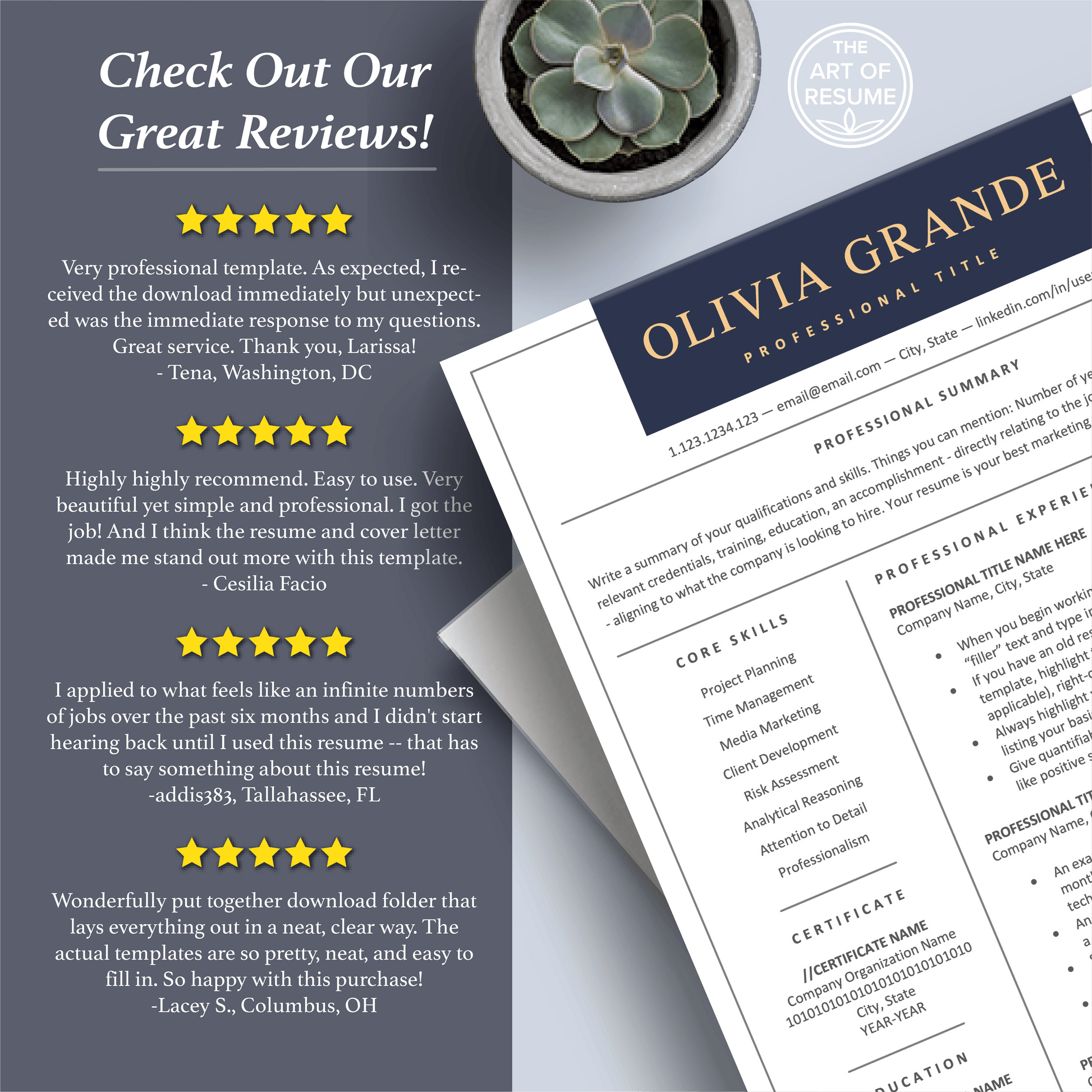 The Art of Resume Templates | Professional Resume CV Templates Online 5-Star Reviews