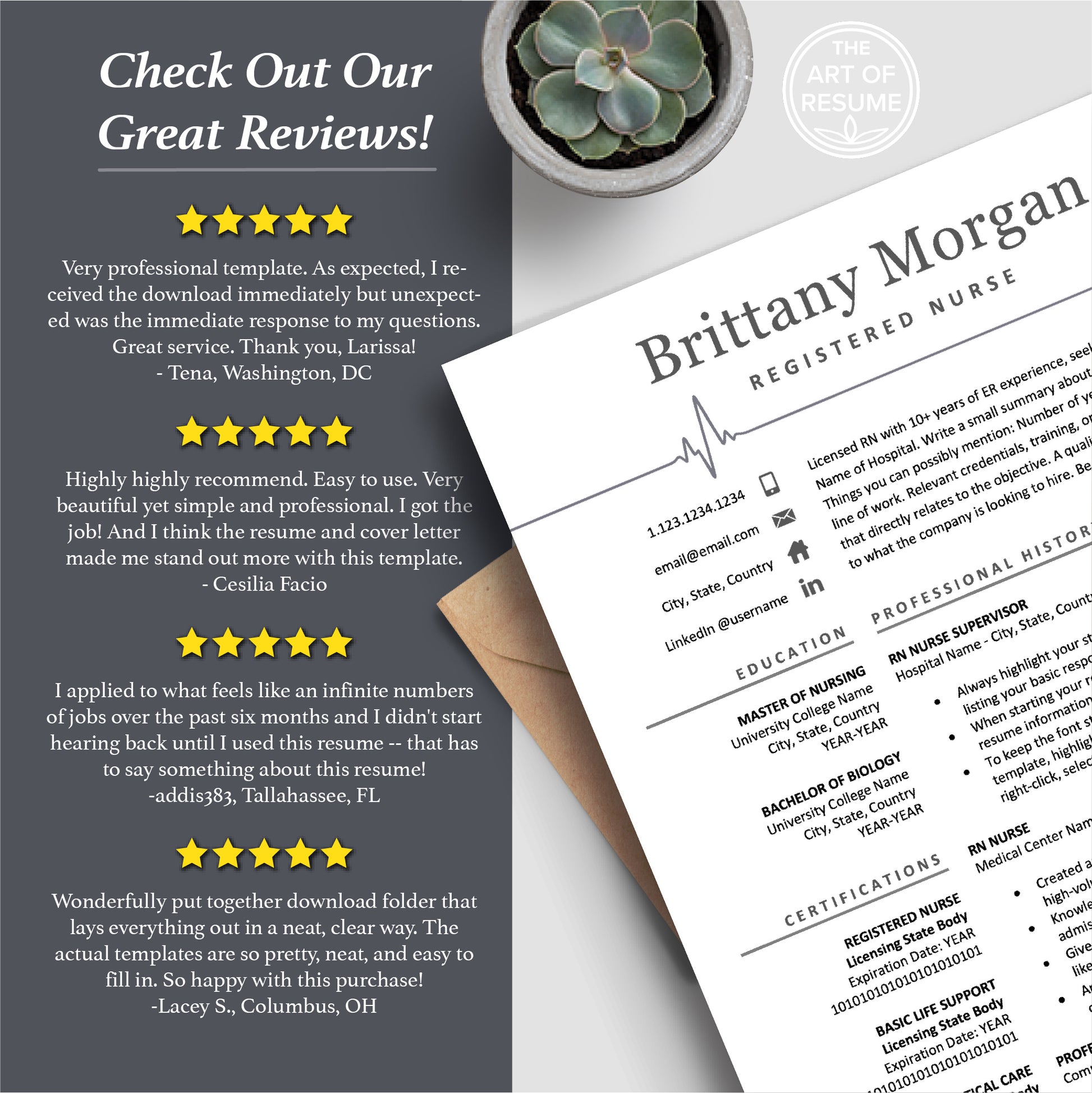 The Art of Resume Templates | Nurse Medical Doctor Resume CV Templates Online 5-Star Reviews