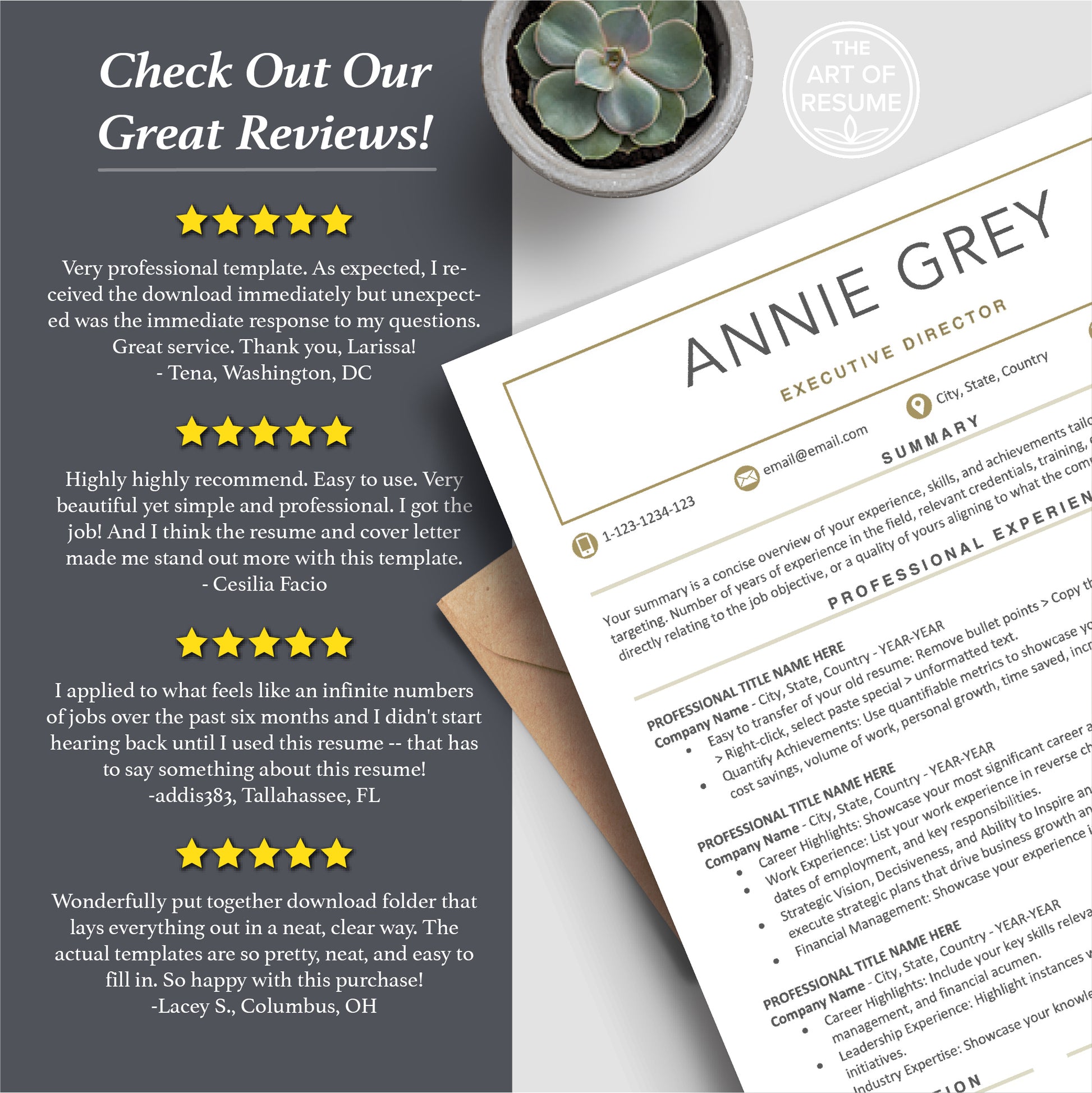 The Art of Resume Templates | Professional Executive Resume CV Templates Online 5-Star Reviews