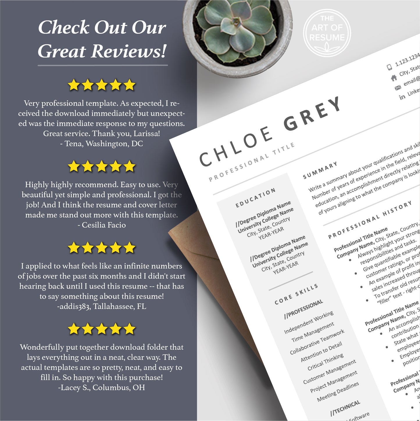 The Art of Resume Templates | Scientist Science Resume CV Templates Online 5-Star Reviews