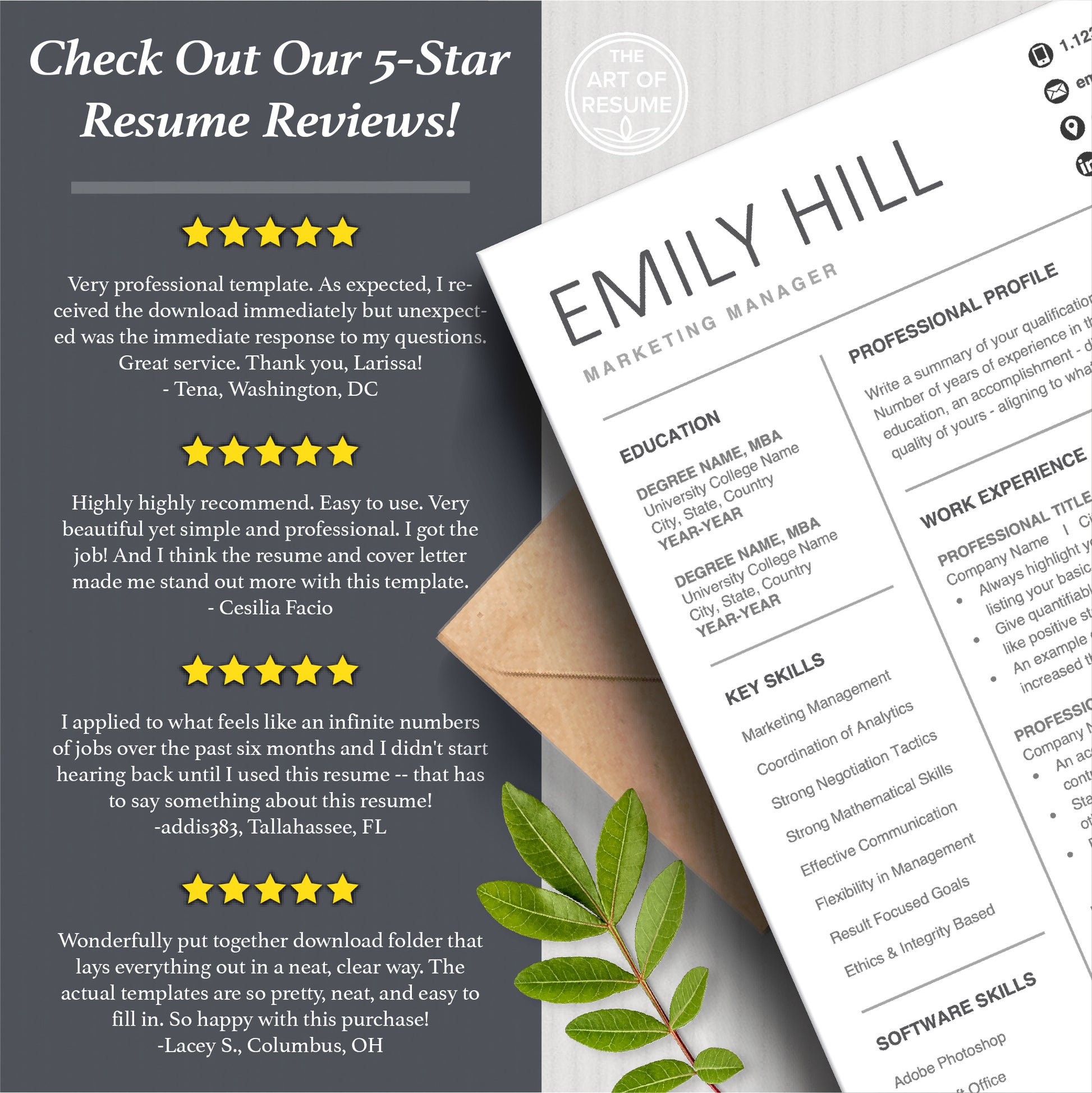 Professional Resume CV Templates 5-Star Reviews, CV Designs Instant Download
