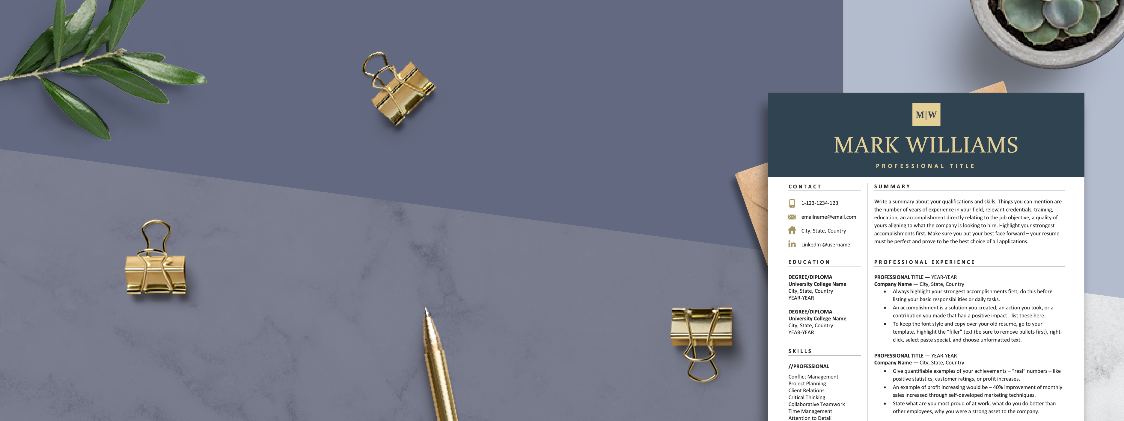 Professional Resume Banner